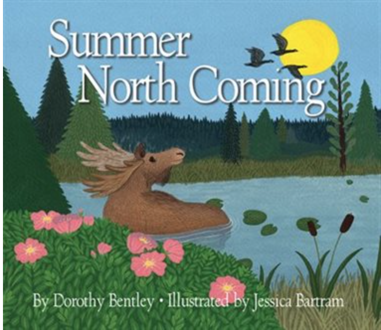 Summer North Coming 